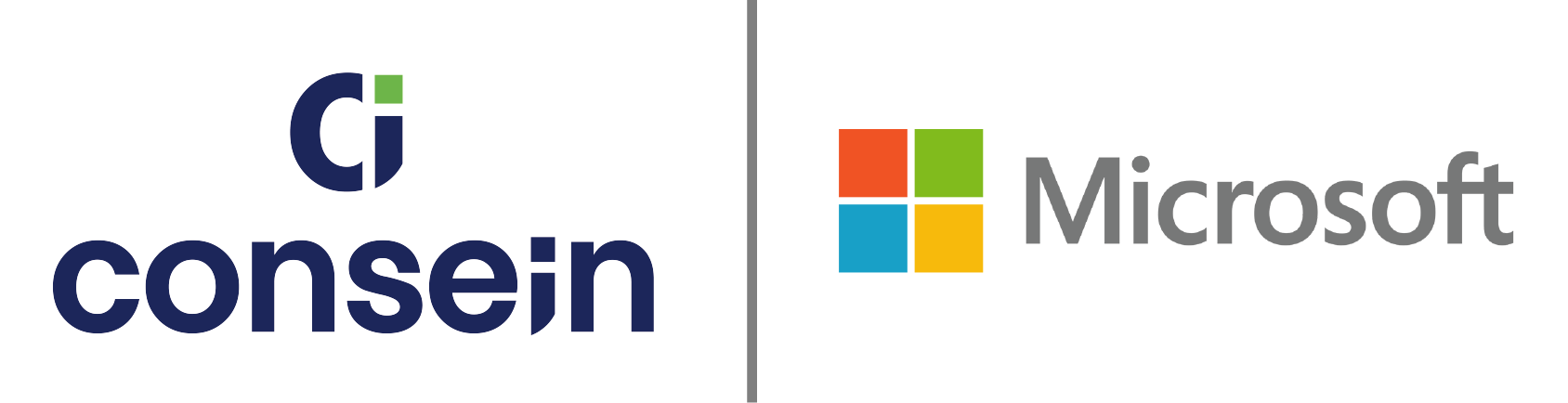 CONSEIN - Partner de Microsoft